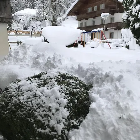 Bohrer *