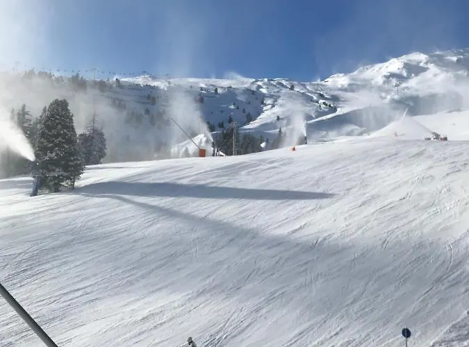 Bohrer דירה מאיירהופן